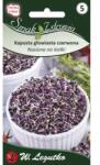 W. Legutko Semințe pentru germinare - varză roșie cu cap