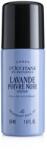L'Occitane Lavande Poivre Noir Antiperspirant pentru bărbați 50 ml