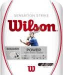 Wilson Sensation Strike 17 WHGY (WRR943200)