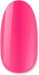 NiiZA Gel Polish 4ml - 221 Üveg hatású