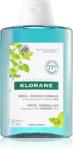 Klorane Organic Mint șampon detoxifiant pentru curățare pentru par normal 200 ml