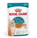 Royal Canin nedves macskaeledel, Senior Ageing 15+, szósz 12x85g