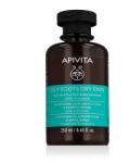 APIVITA Sampon zsíros hajra és száraz hajvégekre 250 ml (5201279071707)