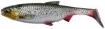 Savage Gear Shad Savage Gear 3D River Roach, Green Silver, 8cm, 5g, 4buc (F1.SG.74281)