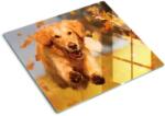 tulup Edzett üveg vágódeszka, Tulup, Golden retriever kutya, Narancssárga, 60x52 cm, 010010520040000034811 (010010520040000034811)