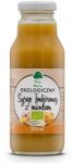Dary Natury Sirop bio de ghimbir cu miere, 270 ml, 14 doze, Dary Natury