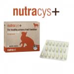 Nutravet Nutracys+ Supliment tract urinar cini i pisici: 20 capsule, formul tripl aciune