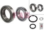 Fag Set rulment roata FAG 713 6670 10 (713667010)
