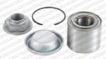 SNR Set rulment roata SNR R166.33 (R16633)