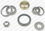 SNR Set rulment roata SNR R140.95 (R14095)