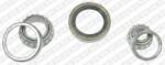 SNR Set rulment roata SNR R151.14 (R15114)