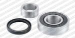 SNR Set rulment roata SNR R179.22 (R17922)