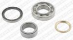 SNR Set rulment roata SNR R177.01 (R17701)