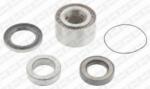 SNR Set rulment roata SNR R173.19 (R17319)
