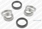 SNR Set rulment roata SNR R173.15 (R17315)