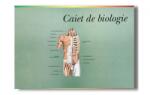 Pigna Caiet de biologie mare 29.5 x 20.5 cm, 24 file (AS000052)