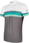 Sensor Tricou de ciclism pentru bărbați Cyklo Summer Stripe Grey/Green S