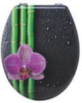 Styron WC ülőke MDF BAMBUSZ + ORCHIDEA (Styron: WÜ-94) (WU-94)