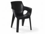  Scaun bucatarie pentru gradina HARTMAN IVY, negru