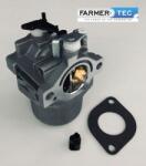 Briggs & Stratton Karburátor Briggs&stratton 495706, 498027, 498231, 499161, 799728 Farmertec (10-01019)