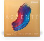 D Addario D'Addario A310-4/4M Ascente Medium 4/4 hegedű húrkészlet