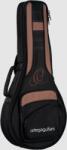 Ortega szivacsolt mandolin tok F és A style hangszerekhez