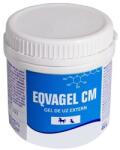 FARMAVET Eqvagel Cm Gel Antiinflamator Pentru Cai Si Caini 450g