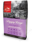 ORIJEN Puppy Large 2x11,4 kg