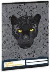 Ars Una Тетрадка ARS UNA A/5, 32 листа, „Black Panthers (50845293)