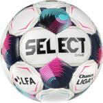 Select FB Game CZ Chance Liga 2026/27, 5