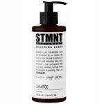 STMNT All-in-One sampon Stmnt férfiaknak tisztító mentollal 300 ml (4045787575347)