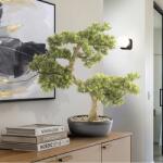 Schuller Valencia Planta artificiala, Bankan BONSAI 75cm (SV-214261)