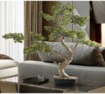 Schuller Valencia Planta artificiala, SOKAN BONSAI 81cm (SV-214186)