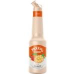 Mixer Pulpa De Mango Mixer 1l (ART_37874)