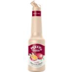 Mixer Pulpa Fructul Pasiunii Mixer 1l (ART_37876)