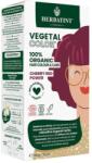 Herbatint Vopsea de par Vegetal Color Cherry Red Power RT06 100g Herbatint (MF46239)