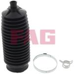Fag Ansamblu burduf, directie FAG 841 0208 30 (841 0208 30)
