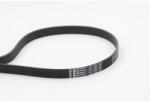 Continental Ctam Curea transmisie cu caneluri CONTINENTAL CTAM 7PK1795 (7PK1795) - fixbox