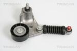 TRISCAN Intinzator curea, curea distributie TRISCAN 8641 163008 (8641 163008)