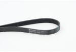 Continental Ctam Curea transmisie cu caneluri CONTINENTAL CTAM 6PK1005 (6PK1005) - fixbox