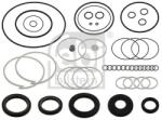 Febi Bilstein Set garnituri, caracsa directie FEBI BILSTEIN 17845 (17845)