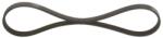 Bosch Curea transmisie cu caneluri BOSCH 1 987 948 337 (1 987 948 337) - fixbox