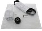 Original Renault Set curea transmisie cu caneluri ORIGINAL RENAULT 7701478934 (7701478934)