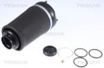 TRISCAN Arc pneumatic, directie TRISCAN 8720 23101 (8720 23101)