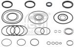 Febi Bilstein Set garnituri, caracsa directie FEBI BILSTEIN 37708 (37708)