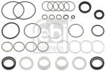 Febi Bilstein Set garnituri, caracsa directie FEBI BILSTEIN 26240 (26240)