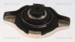 TRISCAN Buson, radiator TRISCAN 8610 18 (8610 18)