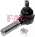 Fag Cap de bara FAG 840 0981 10 (840 0981 10)
