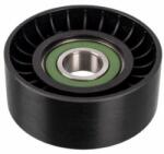MTR Rola intinzator, curea transmisie MTR 12220530 (12220530)