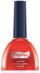 Farmec Carmin dezinfectant pentru unghii 11 ml, Farmec (5943000225903)